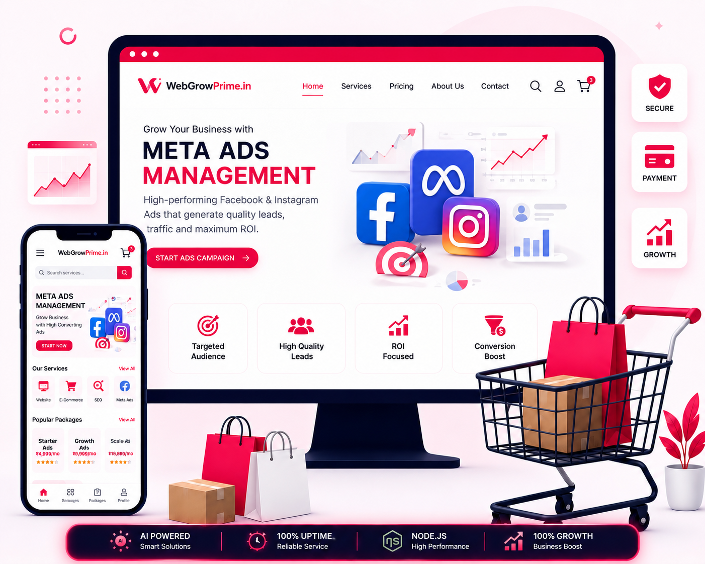 Meta Ads Management